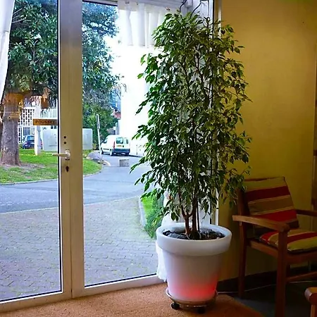 Du Centre Lourdes