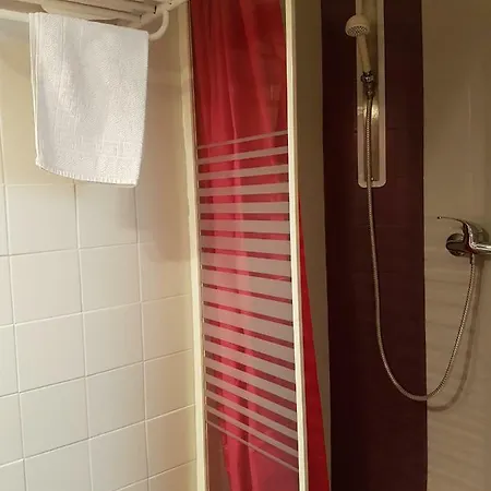 Otel Du Centre Lourdes